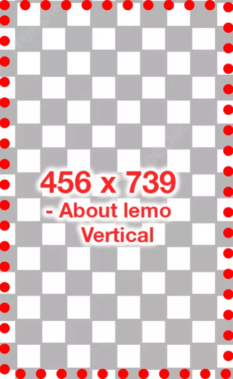 About lemo vertical 456x739